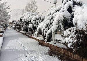 بارش ۹ سانتی متر برف در سپیدان