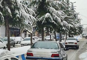 ترنم باران در شیراز و بارش برف در سپیدان و صدرا