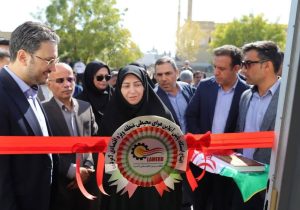 راه اندازی ایستگاه پایش آنلاین هوا در منطقه ویژه اقتصادی لامرد با حضور شینا انصاری