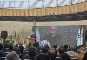 افتتاح پل شاهد در شیراز