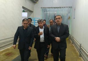 بازدید میدانی مسئولان ارشد اقتصادی فارس از مراکز تولید و تامین کالاهای اساسی