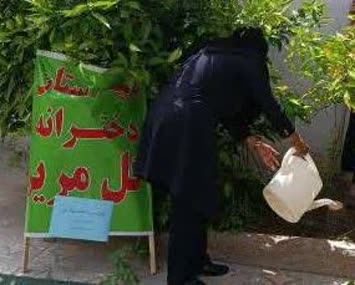 پویش نهال امید تجلیل از شهدای دانش‌آموز در شهرستان فسا