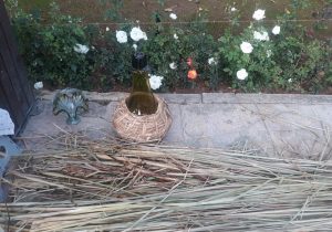 قصه عطر غزل؛ روایت پیوند گل و حافظ