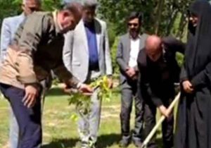 کاشت نهال نارنج به پاس روز ملی شوراها در فسا