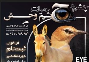 هنر نقاشی حیات‌ وحش ابزاری برای توسعه گردشگری پایدار و حفاظت از میراث طبیعی