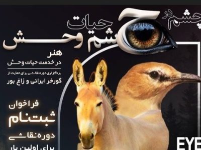 هنر نقاشی حیات وحش ابزاری برای توسعه گردشگری پایدار و حفاظت از میراث طبیعی